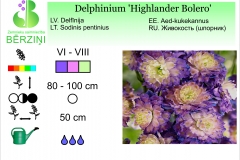Delphinium Highlander Bolero