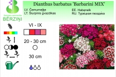 Dianthus barbatus Barbarini MIX
