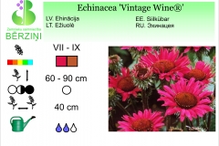 Echinacea Vintage Wine®