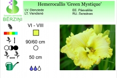 Hemerocallis Green Mystique