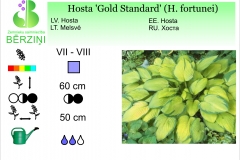 Hosta Gold Standard