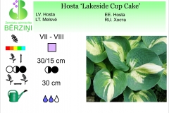 Hosta Lakeside Cup Cake